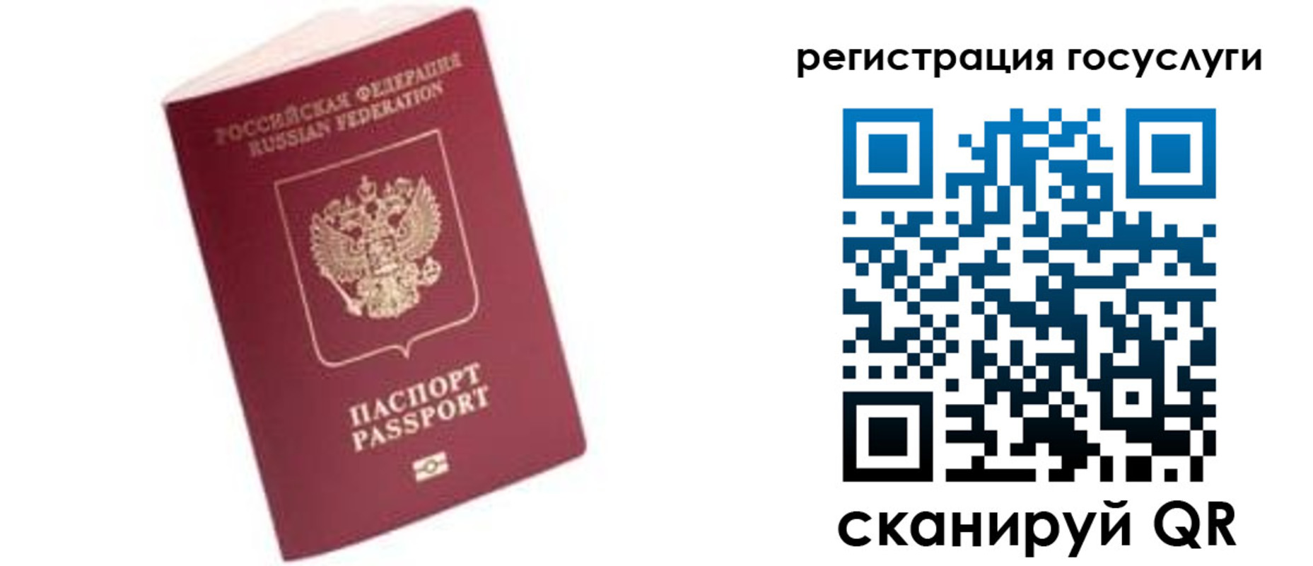 прописка поиск в Алтайском крае
